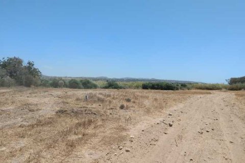 10703m² Land en Kouklia, Cyprus No. 75328 2