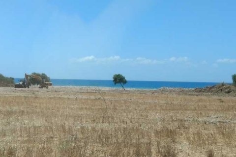 10703m² Land en Kouklia, Cyprus No. 75328 1