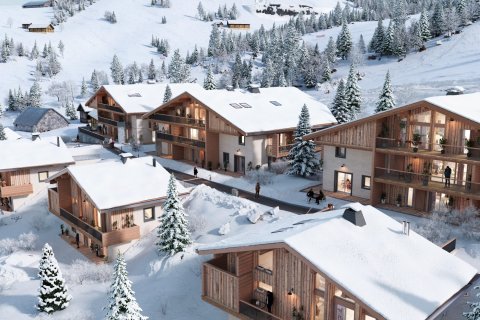 3 bedrooms Apartment in Praz-sur-Arly, France No. 68426 3