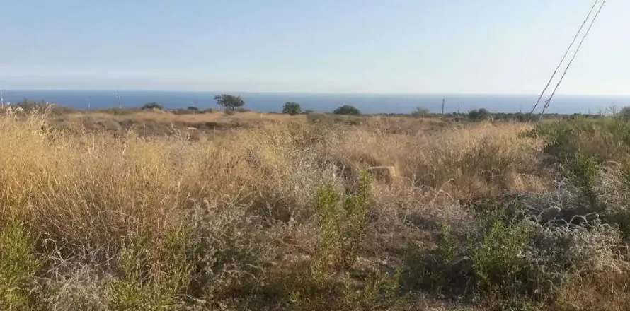 32321m² Land in Pissouri, Cyprus No. 35740