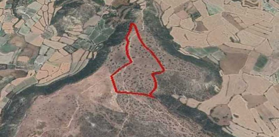 103011m² Land à Pissouri, Cyprus No. 35736