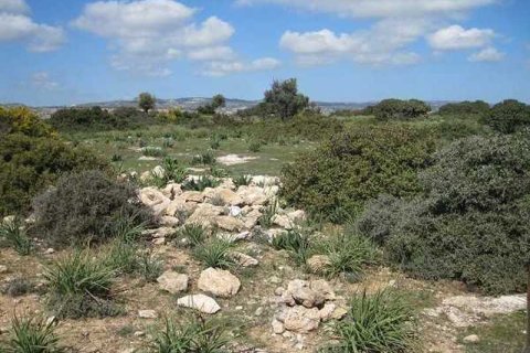 103011m² Land à Pissouri, Cyprus No. 35736 3