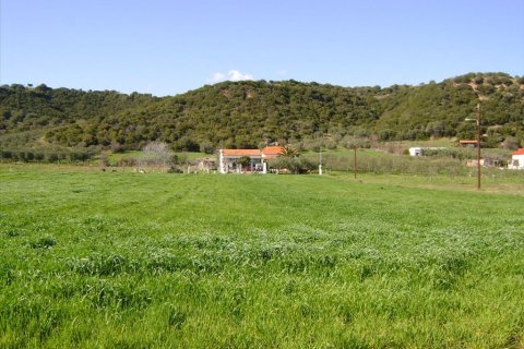 6000m² Land in Chalkidiki, Greece No. 59893 2