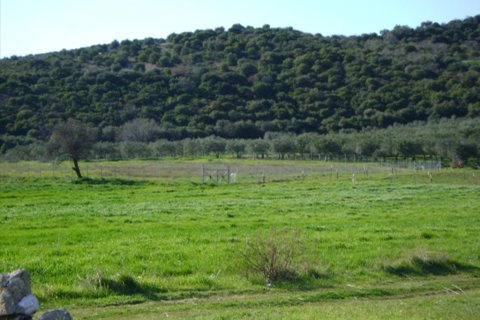 6000m² Land en Chalkidiki, Greece No. 59893 3