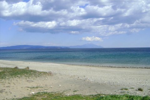 6000m² Land in Chalkidiki, Greece No. 59893 1