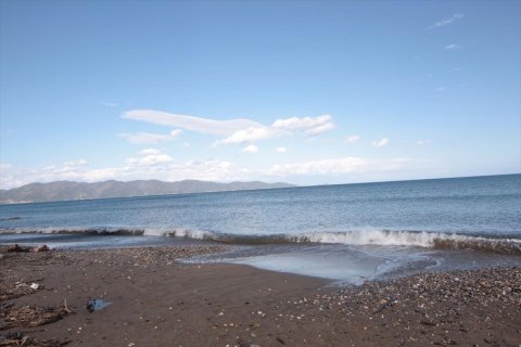 9288m² Land in Chalkidiki, Greece No. 59897 1