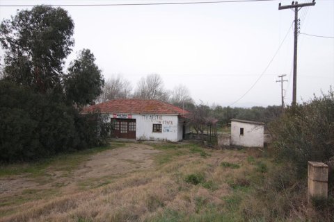 4560m² Land en Chalkidiki, Greece No. 59898 5