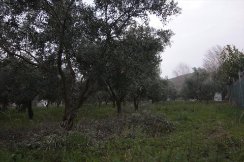 4560m² Land à Chalkidiki, Greece No. 59898 4