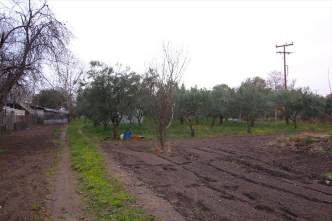 4560m² Land in Chalkidiki, Greece No. 59898 3