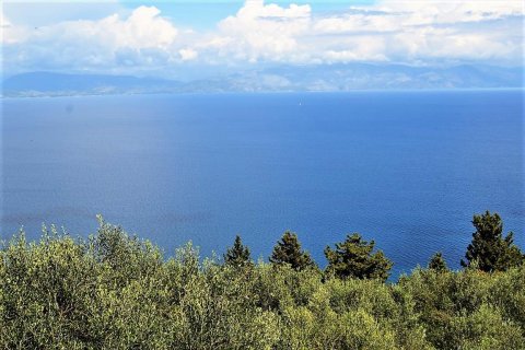 4000m² Land à Corfu, Greece No. 57433 4