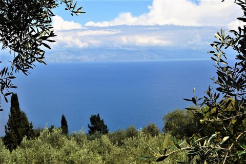 4000m² Land en Corfu, Greece No. 57433 6