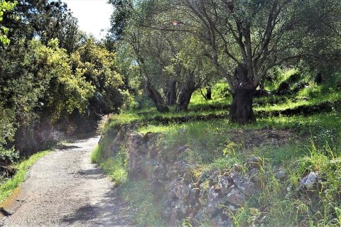 4000m² Land in Corfu, Greece No. 57433 19