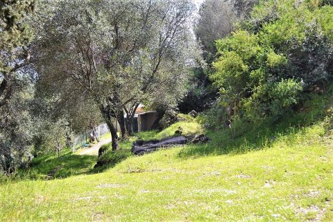 4000m² Land in Corfu, Greece No. 57433 17