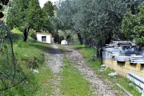 4000m² Land in Corfu, Greece No. 57433 10