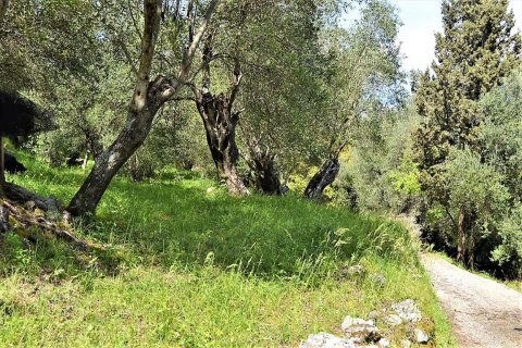 4000m² Land en Corfu, Greece No. 57433 13