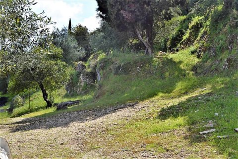 4000m² Land in Corfu, Greece No. 57433 16