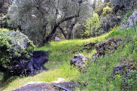 4000m² Land in Corfu, Greece No. 57433 15