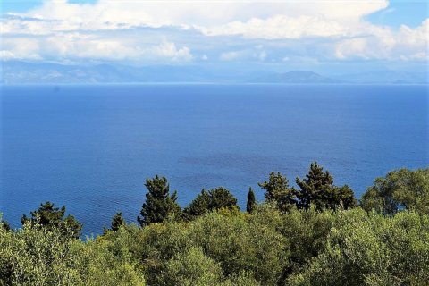 4000m² Land in Corfu, Greece No. 57433 5