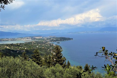 7000m² Land in Corfu, Greece No. 57434 2