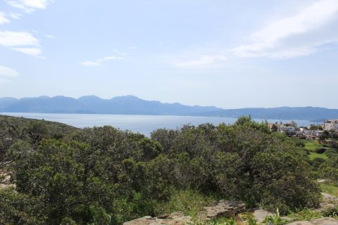 15000m² Land à Agios Nikolaos, Greece No. 57432 1