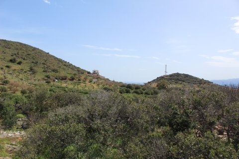 15000m² Land in Agios Nikolaos, Greece No. 57432 6