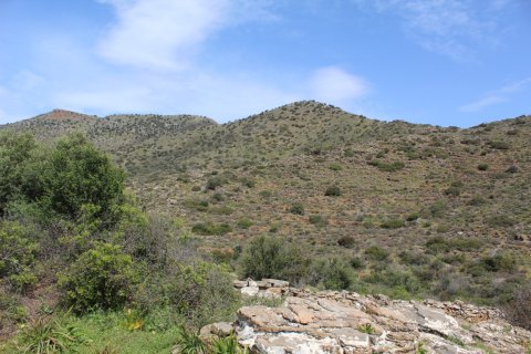 15000m² Land en Agios Nikolaos, Greece No. 57432 3