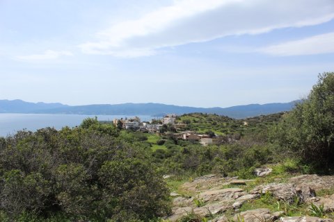 15000m² Land in Agios Nikolaos, Greece No. 57432 2