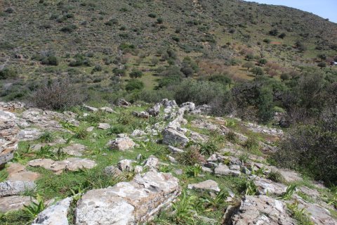 15000m² Land in Agios Nikolaos, Greece No. 57432 4