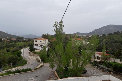 2400m² Business in Kouvaras, Greece No. 57429 2