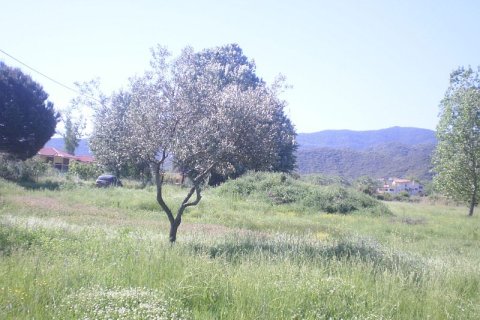 5015m² Land en Chalkidiki, Greece No. 60544 3