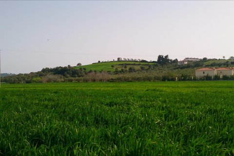 9861m² Land à Chalkidiki, Greece No. 60543 3