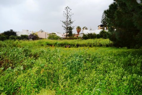 1450m² Land in Malia, Greece No. 57466 1