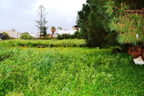 1450m² Land in Malia, Greece No. 57466 3