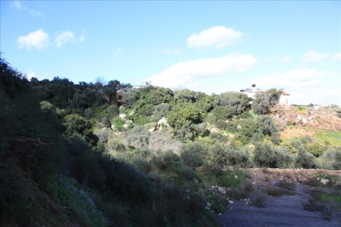 13247m² Land in Kolymvari, Greece No. 57470 4