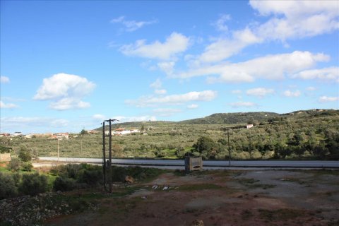 13247m² Land en Kolymvari, Greece No. 57470 5