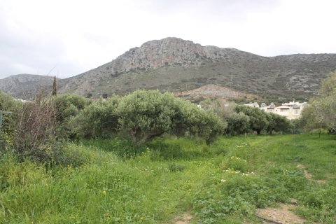 2000m² Land en Hersonissos, Greece No. 57464 3