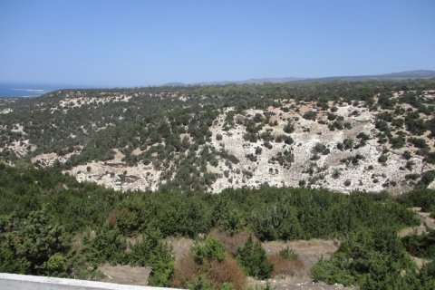 5 chambres Villa à Paphos, Cyprus No. 37778 12