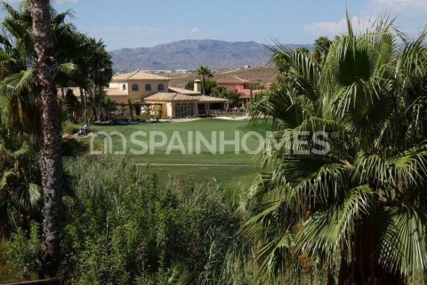 4 bedrooms Villa in Cuevas del Almanzora, Spain No. 76693 15