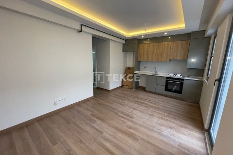 1+1 Appartement à Istanbul, Turkey No. 11835 5