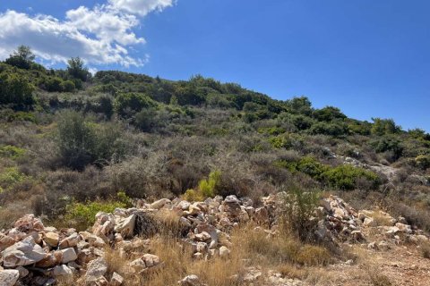 Land in Zakynthos, Greece No. 24672 16