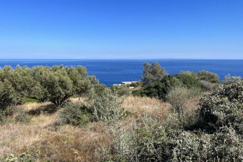 Land in Zakynthos, Greece No. 24670 1