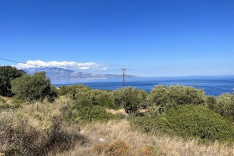 Land in Zakynthos, Greece No. 24670 5