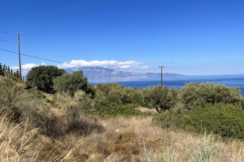 Land in Zakynthos, Greece No. 24670 3