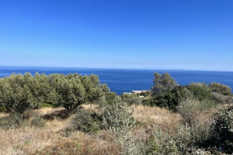 Land in Zakynthos, Greece No. 24670 2