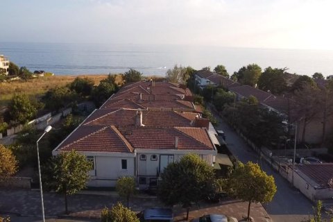 5+2 Villa in Istanbul, Turkey No. 15364 1