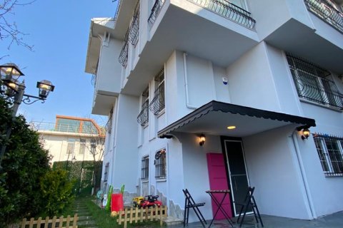 4+2 Villa à Istanbul, Turkey No. 15365 3