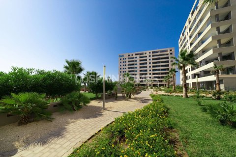 3 dormitorios Apartment en Orihuela, Spain No. 26466 14