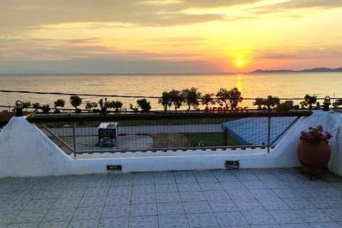 420m² Hotel en Chalkidiki, Greece No. 54596 1