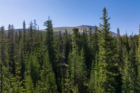 Land in Breckenridge, USA No. 62296 6