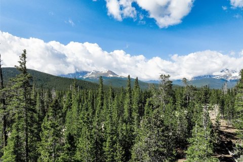 Land in Breckenridge, USA No. 62296 1